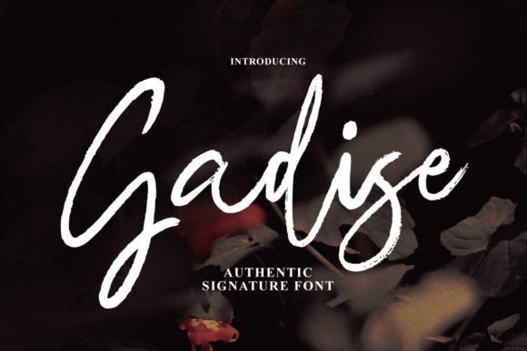 Gadise Font: Elevating Campaign Visuals with Handmade Script