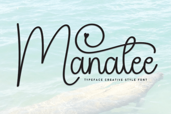 Manatee Font Review: Practical Script for Real Projects