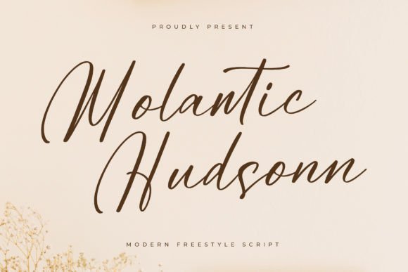 Molantic Hudsonn: A Designer’s Practical Review