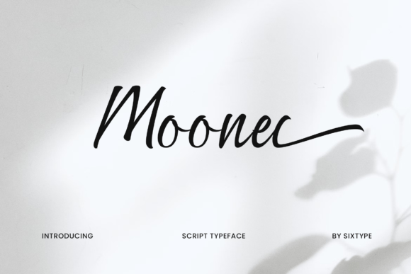 Moonel Font: Elevating Brand Identity with Elegant Script